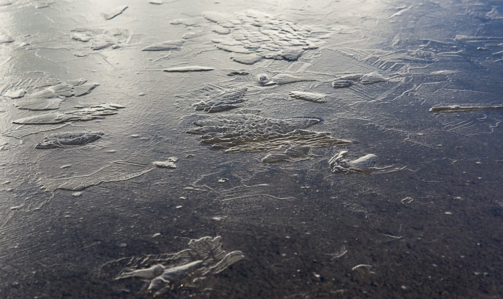 Primary ice, Lake Hoare