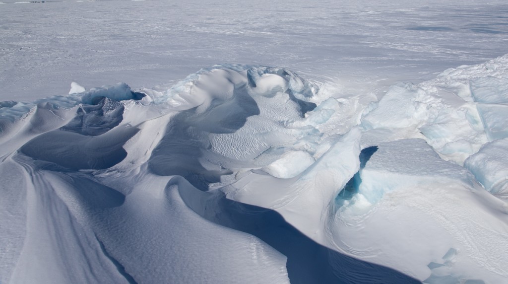 Iceberg frozen in sea ice