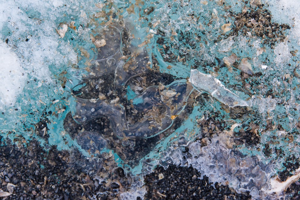 Algal mat, lake ice, Cape Royds