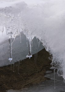 Icicles, Lake Hoare